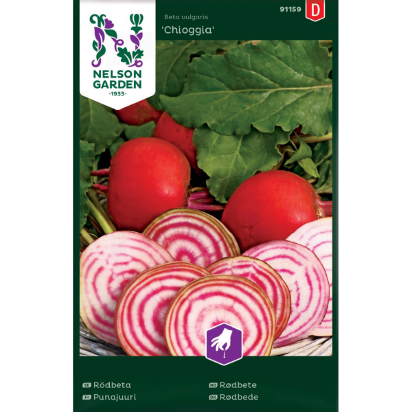 Punajuuri 'Chioggia'
