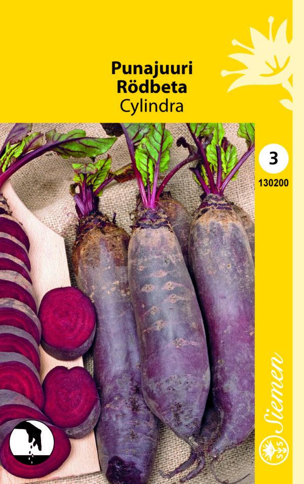 Punajuurikas 'Cylindra'