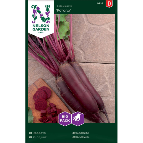 Punajuuri 'Forono' Big Pack