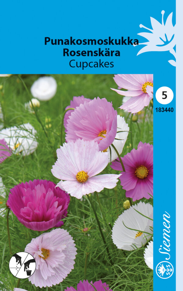 Punakosmos 'Cupcakes'