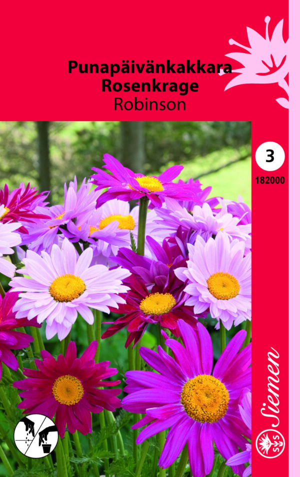 Punapäivänkakkara 'Robinson'
