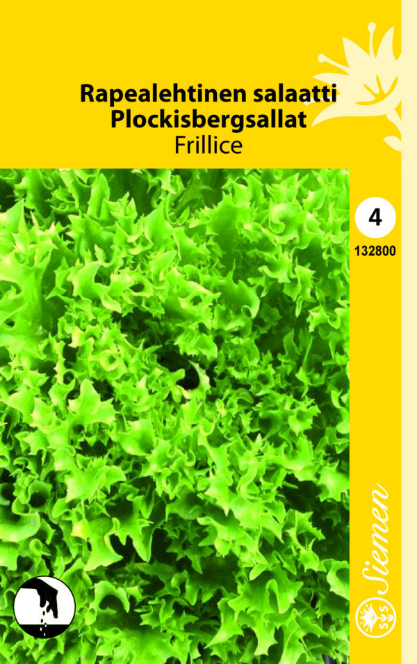 Rapealehtinen salaatti 'Frillice'