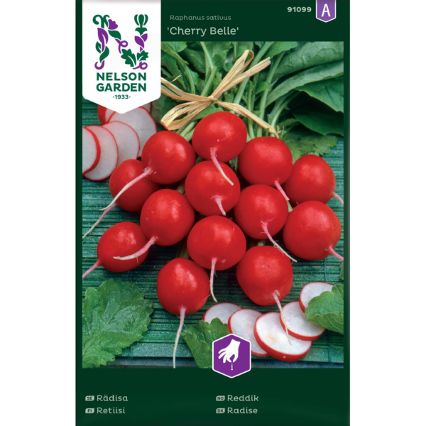 Retiisi 'Cherry Belle'