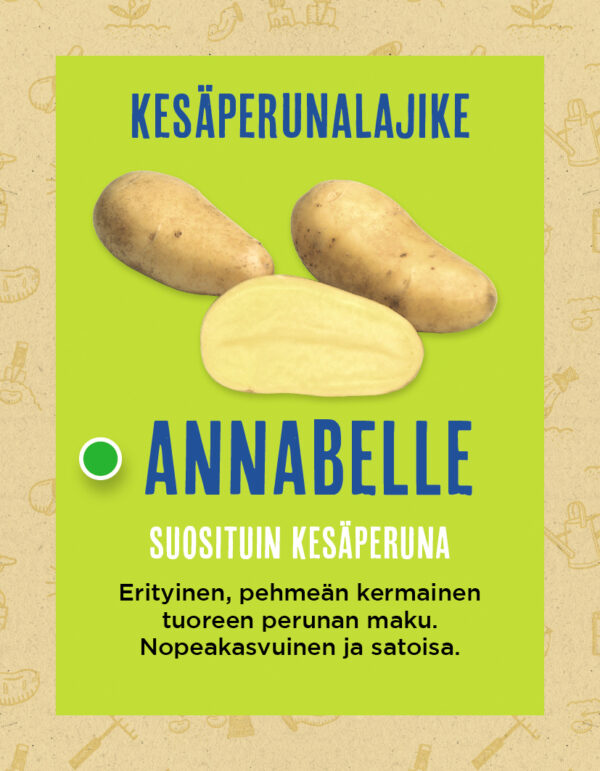 Siemenperuna 'Annabelle' 10 kg