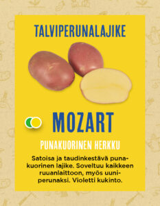 Siemenperuna ‘Mozart’ 5 kg