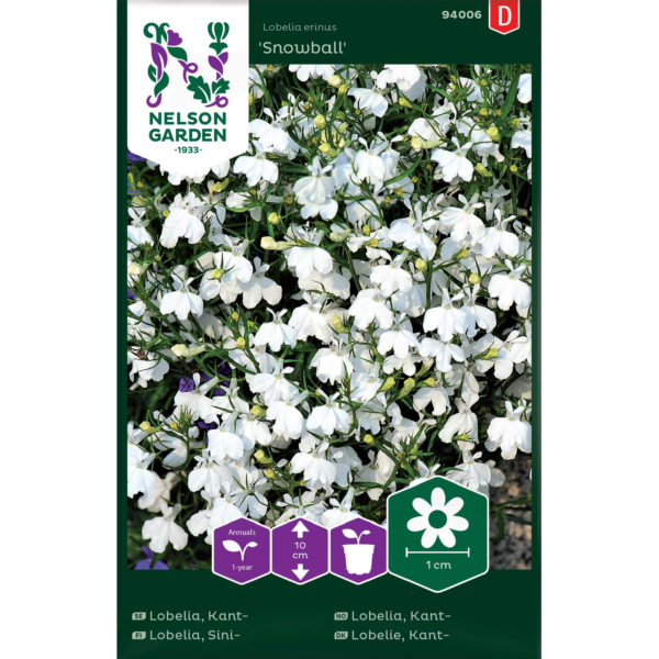 Sinilobelia 'Snowball'