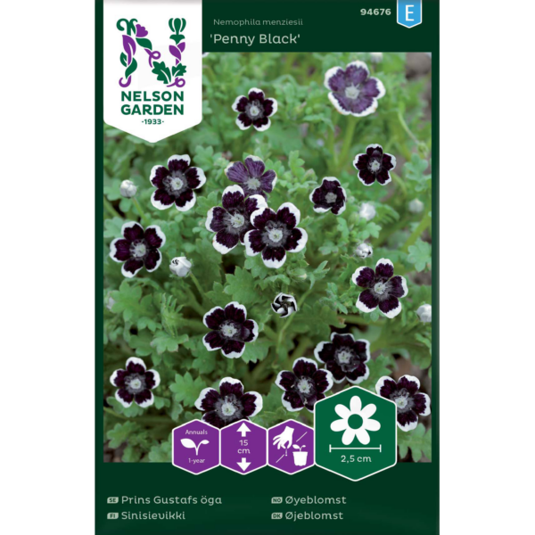 Sinisievikki 'Penny Black'