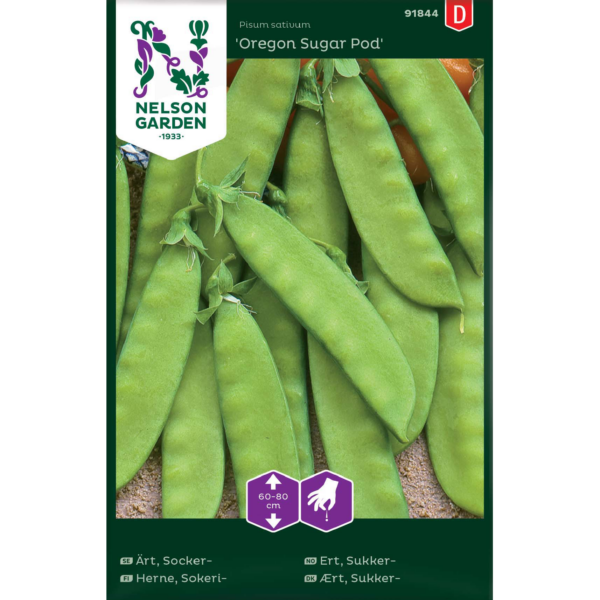 Sokeriherne 'Oregon Sugar Pod'