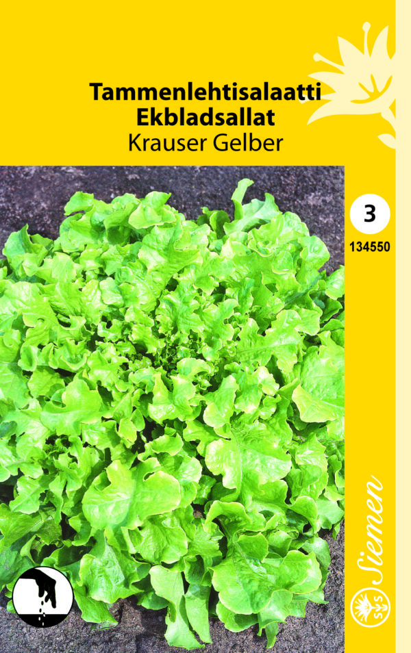 Lehtisalaatti 'Krauser Gelber'