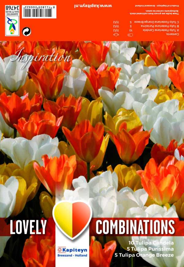 Lovely Combinations White,Yellow,Orange 20 kpl