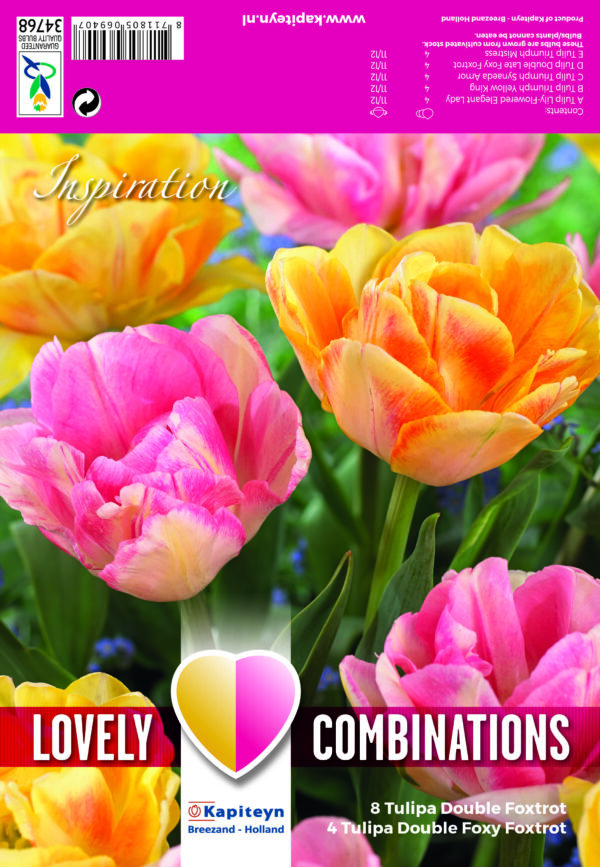 Lovely Combinations Double Orange & Pink 12 kpl