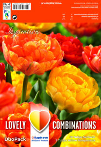 Combi Tulip Duopack Double Yellow & Orange 15 kpl