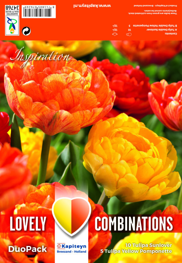Lovely Combinations Double Yellow & Orange 15 kpl