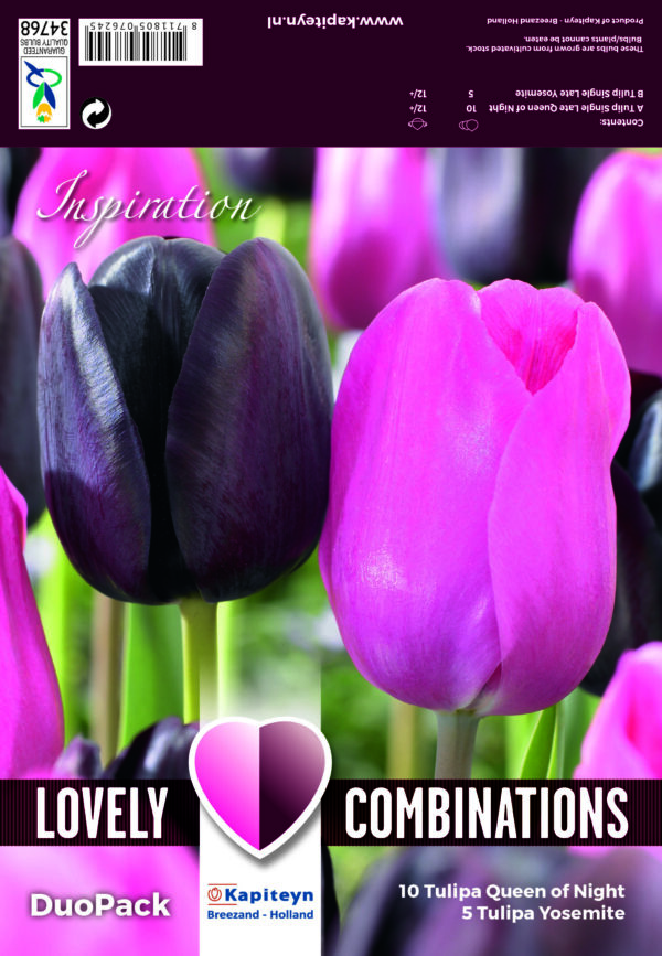 Lovely Combinations Duopack Black & Pink 15 kpl