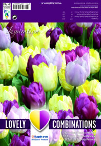 Combi Tulip Yellow,Purple & Lilac 20 kpl