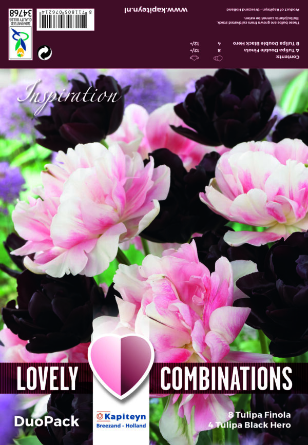 Lovely Combinations Duopack Double Black,Pink 12 k