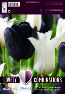 Combi Tulip Duopack Black & White 15 kpl