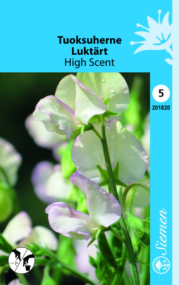 Tuoksuherne 'High Scent'