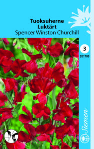 Tuoksuherne ‘Spencer Winston Churchill’