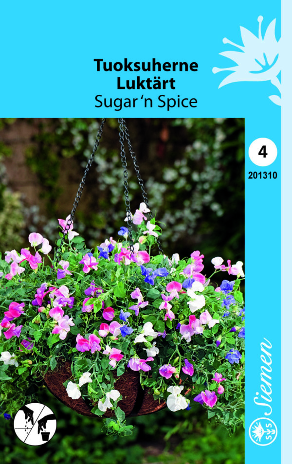 Tuoksuherne 'Sugar 'n Spice'