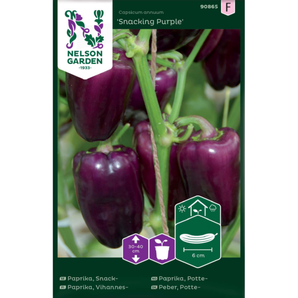 Vihannespaprika 'Snacking Purple'