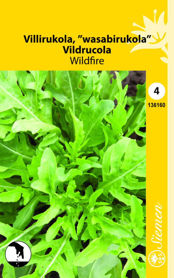 Villirucola ,Wasabirucola 'Wildfire'