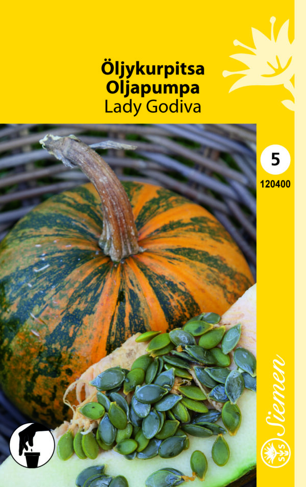 Öljykurpitsa 'Lady Godiva'