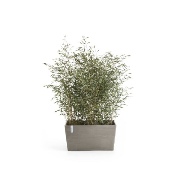 Pariisi 60 taupe