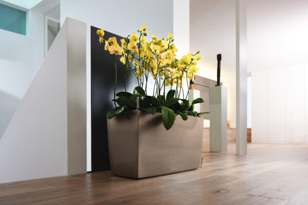 Cararo Premium 75 taupe All-In-One Set - Image 4
