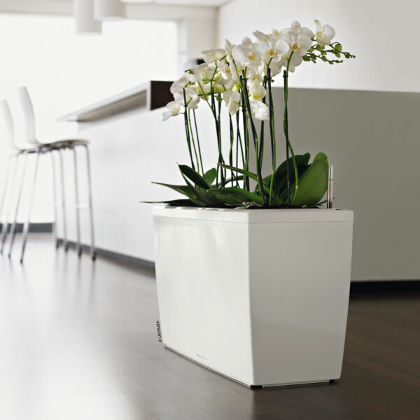 Cararo Premium 75 valkoinen All-In-One Set - Image 3