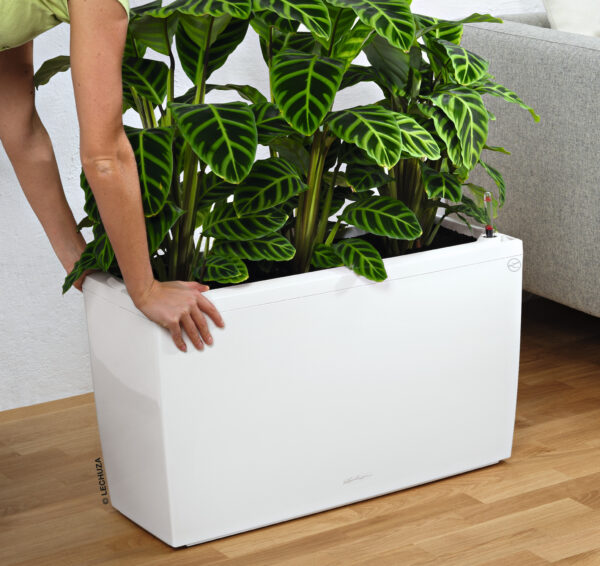 Cararo Premium 75 valkoinen All-In-One Set - Image 4