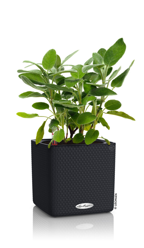 Cube Color 16 liuskekivi All-In-One Set - Image 3