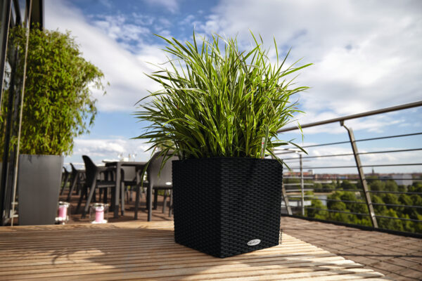 Cube Cottage 30 grafiitti All-In-One Set