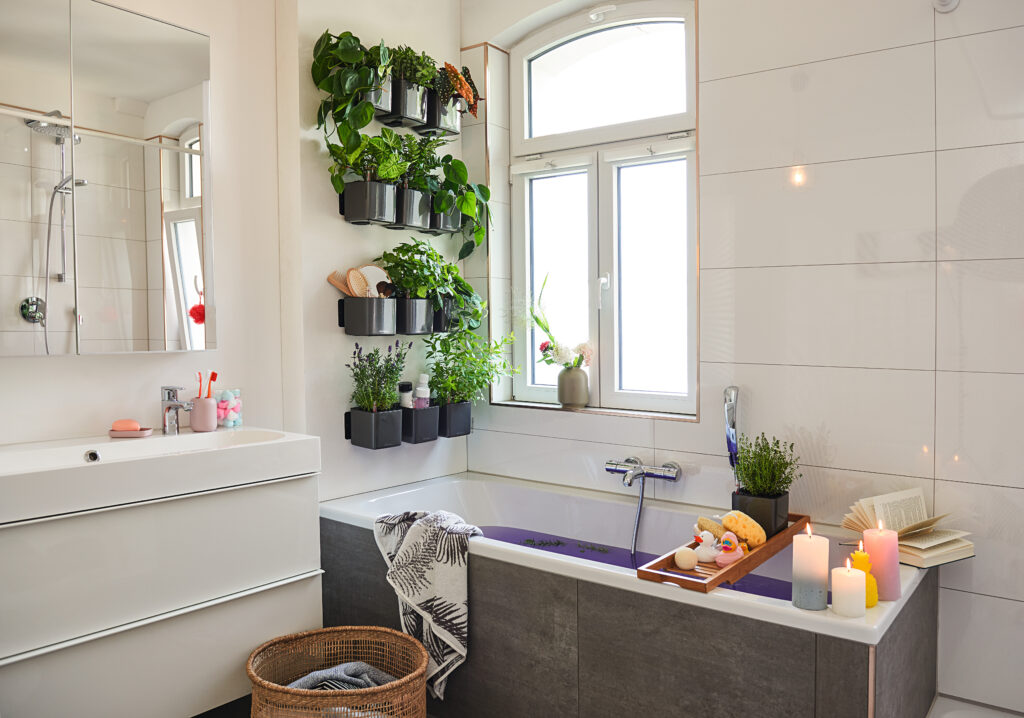 Green Wall Home Kit Glossy 3x Cube 14 hiilenharmaa Viherkauppa