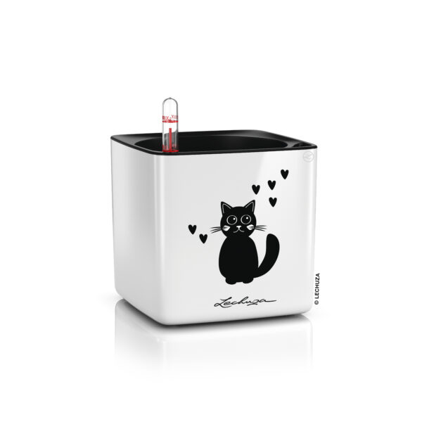 Cube Glossy CAT 14 valkoinen All-In-One Set