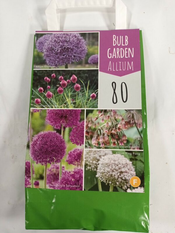 Bulb Garden Allium 80 kpl