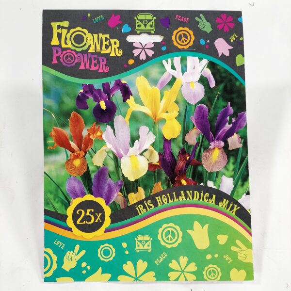 Flower Power Iris Hollandica Mix 25 kpl