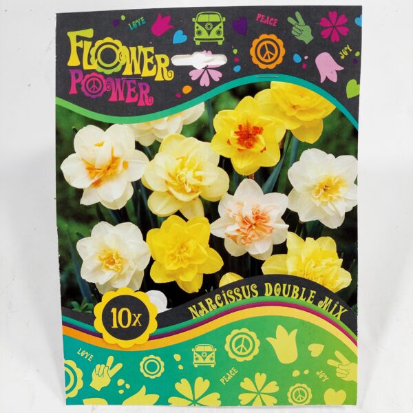 Flower Power Narsissus Double Mix 10 kpl