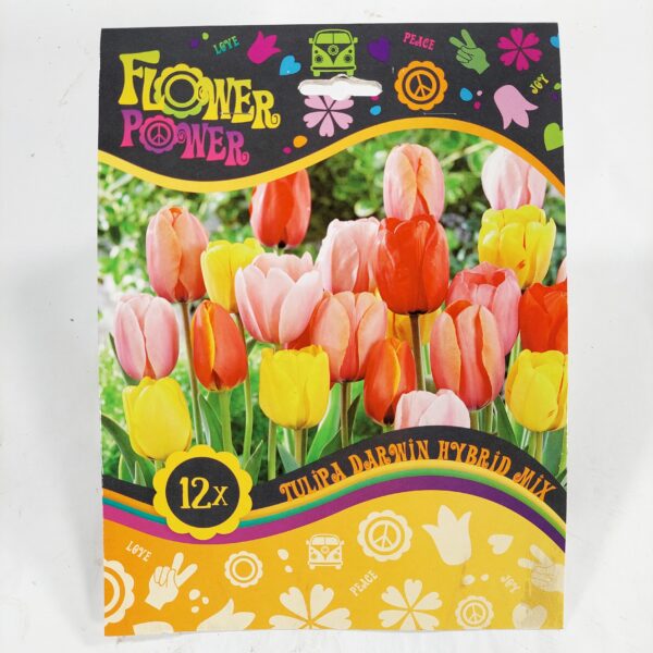 Flower Power Tulipa Darwin Hybrid Mix 12 kpl