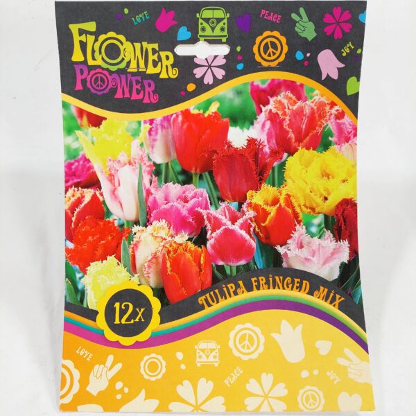 Flower Power Fringed Mix 12 kpl