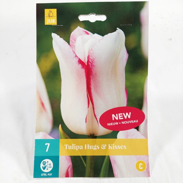 Tulppaani 'Hugs & Kisses' 7 kpl