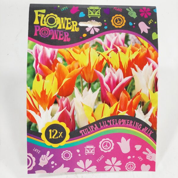 Flower Power Tulipa Lilyflowering Mix 12 kpl