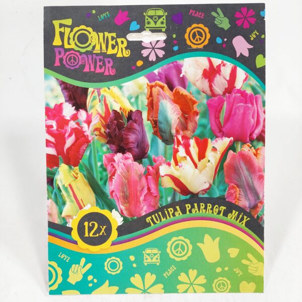 Flower Power Tulipa Parrot Mix 12 kpl