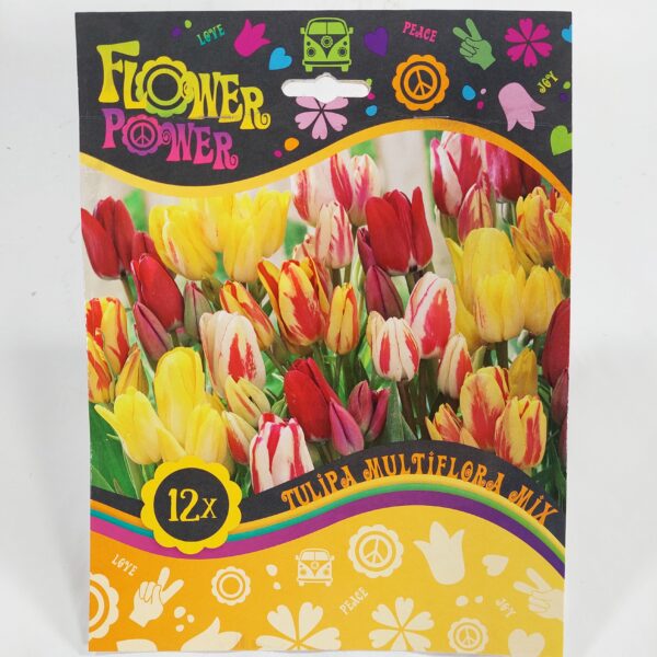 Flower Power Tulipa Multiflora Mix 12 kpl