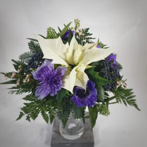 Matala havupohjaan sidottu kukkakimppu kotimaisesta joulutähdestä.