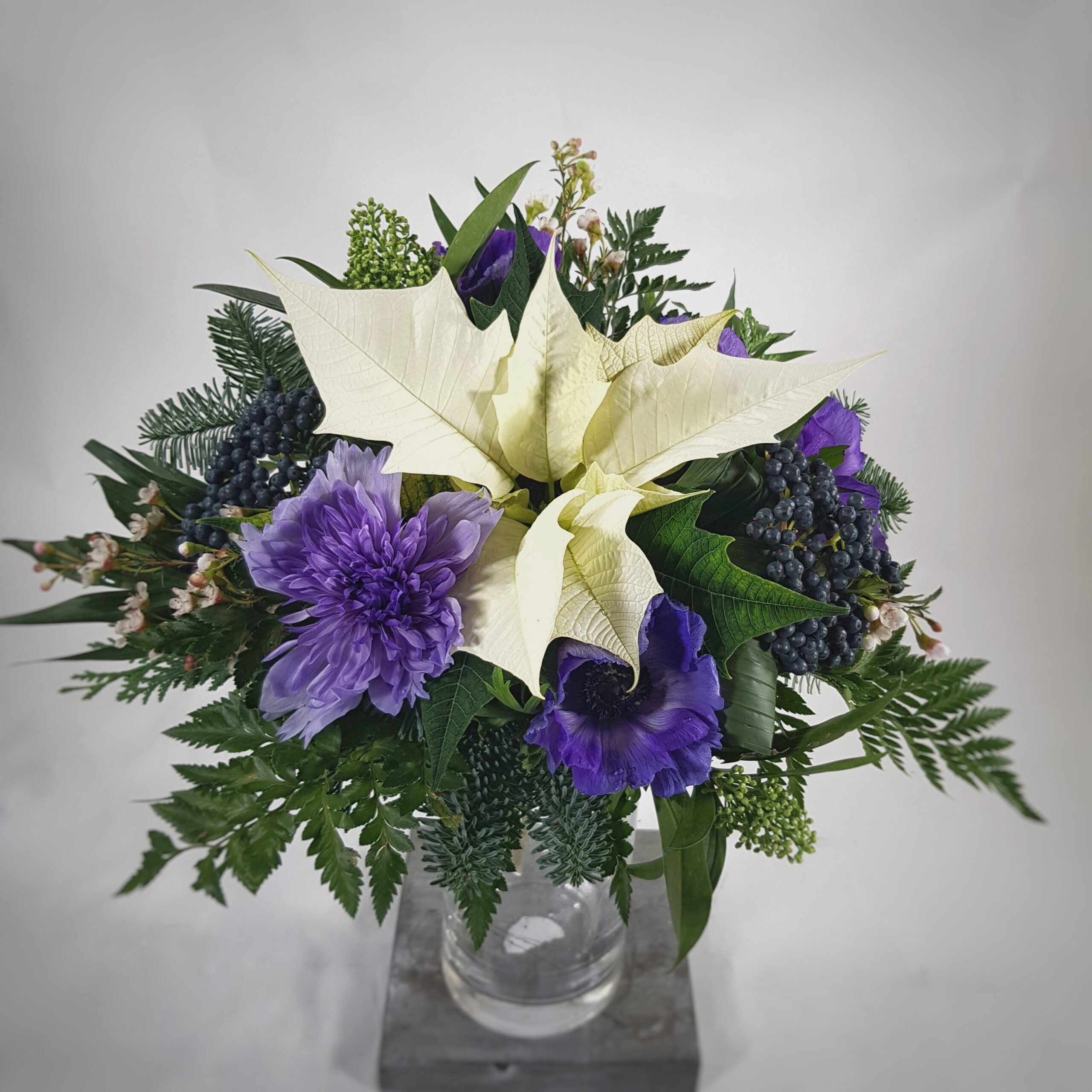 Matala havupohjaan sidottu kukkakimppu kotimaisesta joulutähdestä.