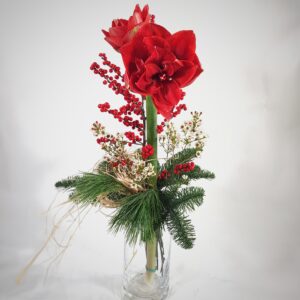 Korkea amarylliskimppu.