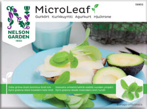 Micro Leaf Kurkkuyrtti
