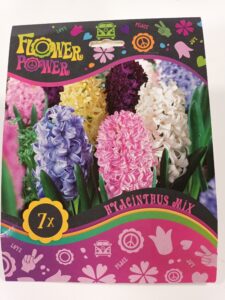 Flower Power Hyasintti mix 7 kpl