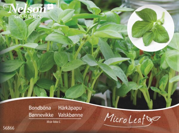 Micro Leaf Härkäpapu